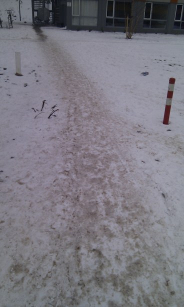 the dirty snow road