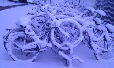 snow cycles