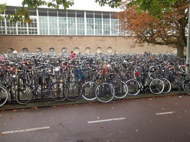 This is not even a lot of bikes